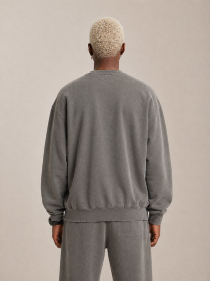 Future Proof Crewneck Sweatshirt - Faded Grey